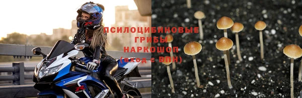 jwh Володарск