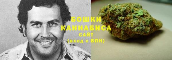 ПСИЛОЦИБИНОВЫЕ ГРИБЫ Верея