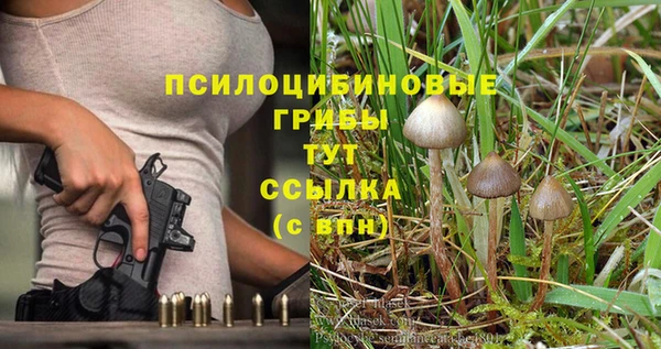 jwh Володарск