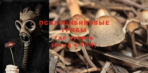 jwh Володарск